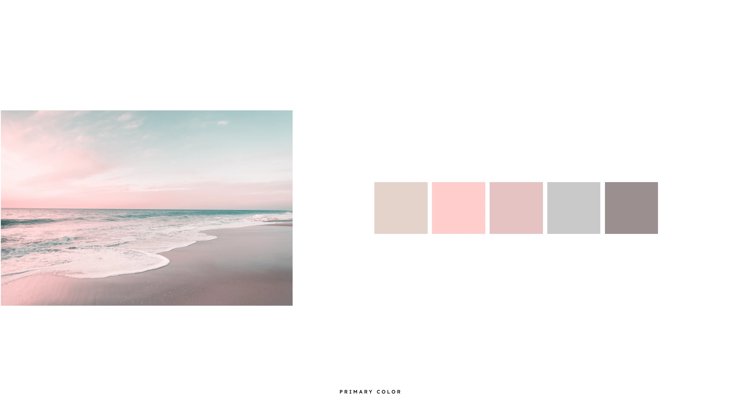 The OCASO primary palette drawn from a sunset sea