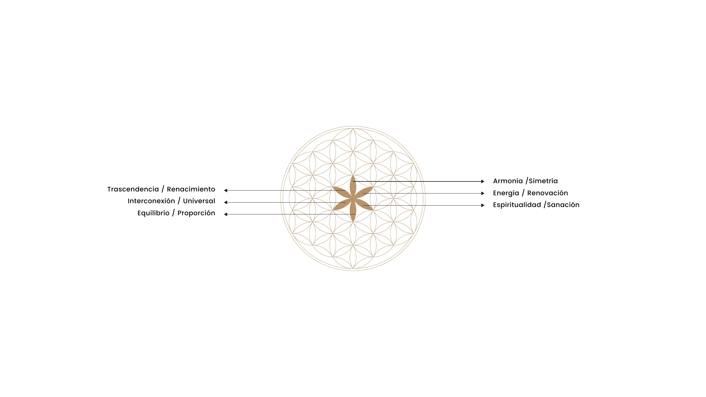 The Flower of Life annotated — harmony, energy, spirituality, transcendence, interconnection, balance